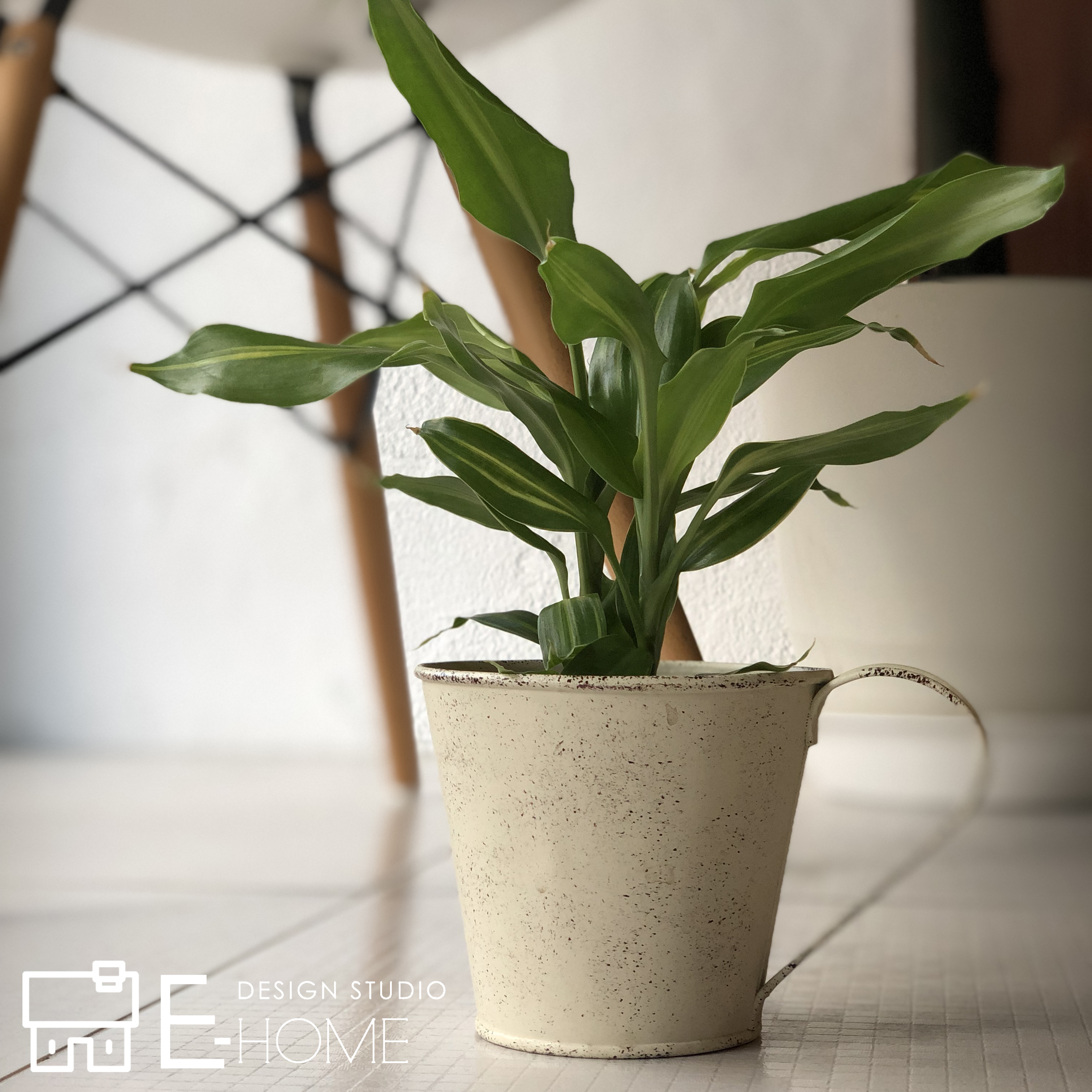 E-HOME歳末バザー開催!